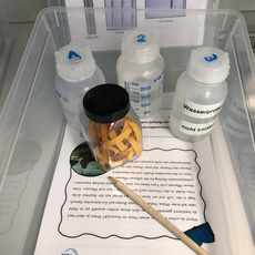 Wasserexperimente, WaterLab, Analyse von Wasser
